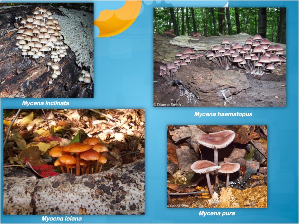 Slide46
