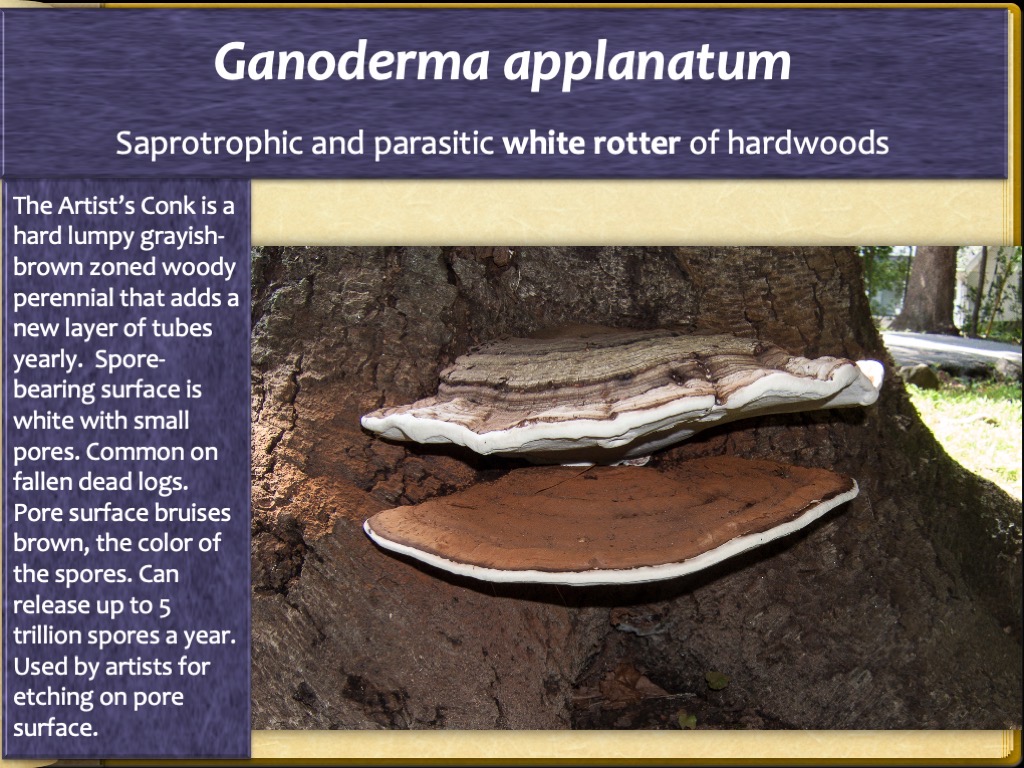 Slide47