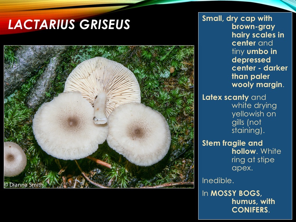 Slide47