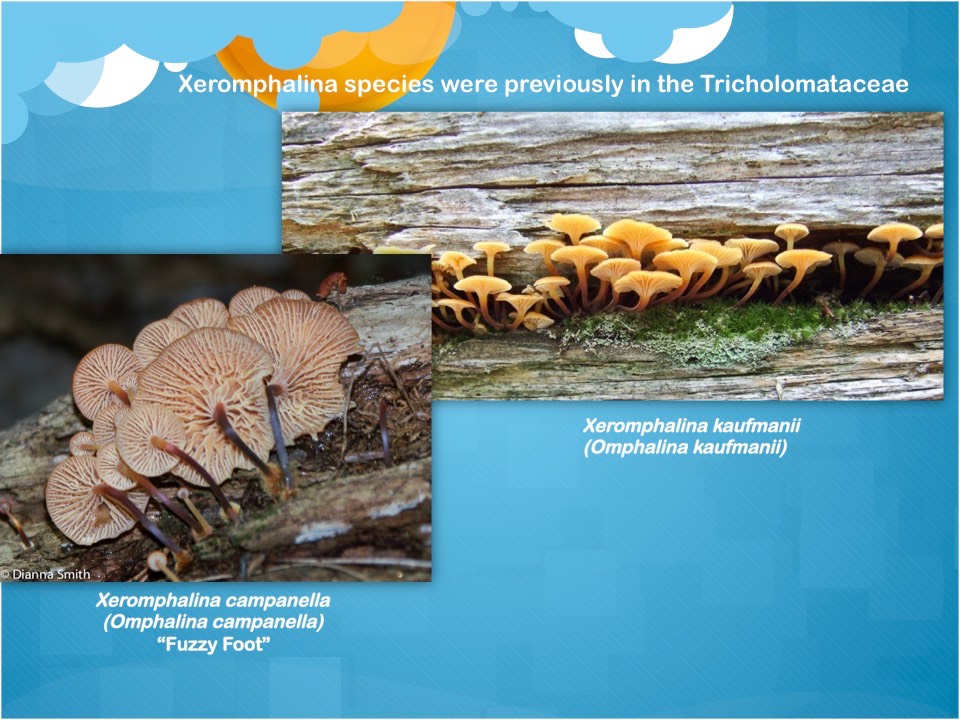 Slide47