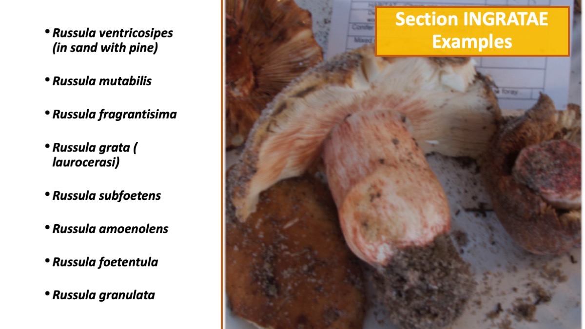 Slide47