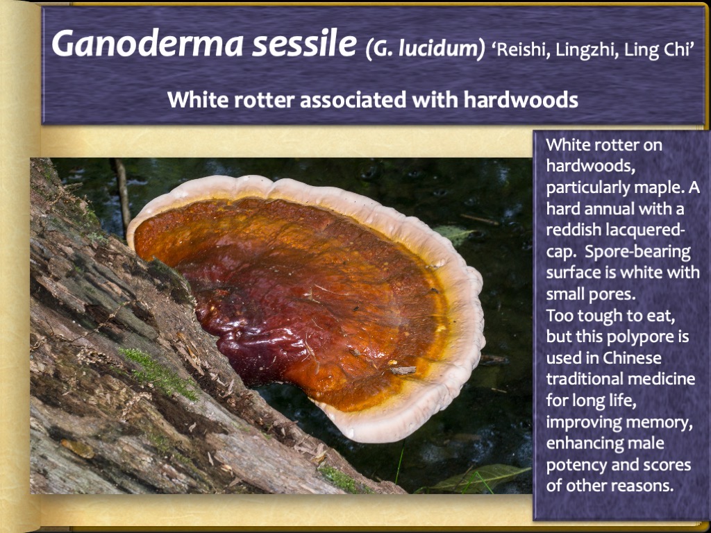 Slide48
