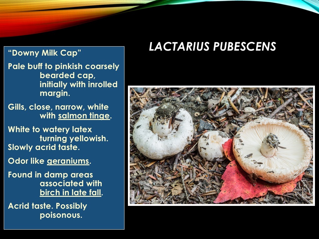 Slide48