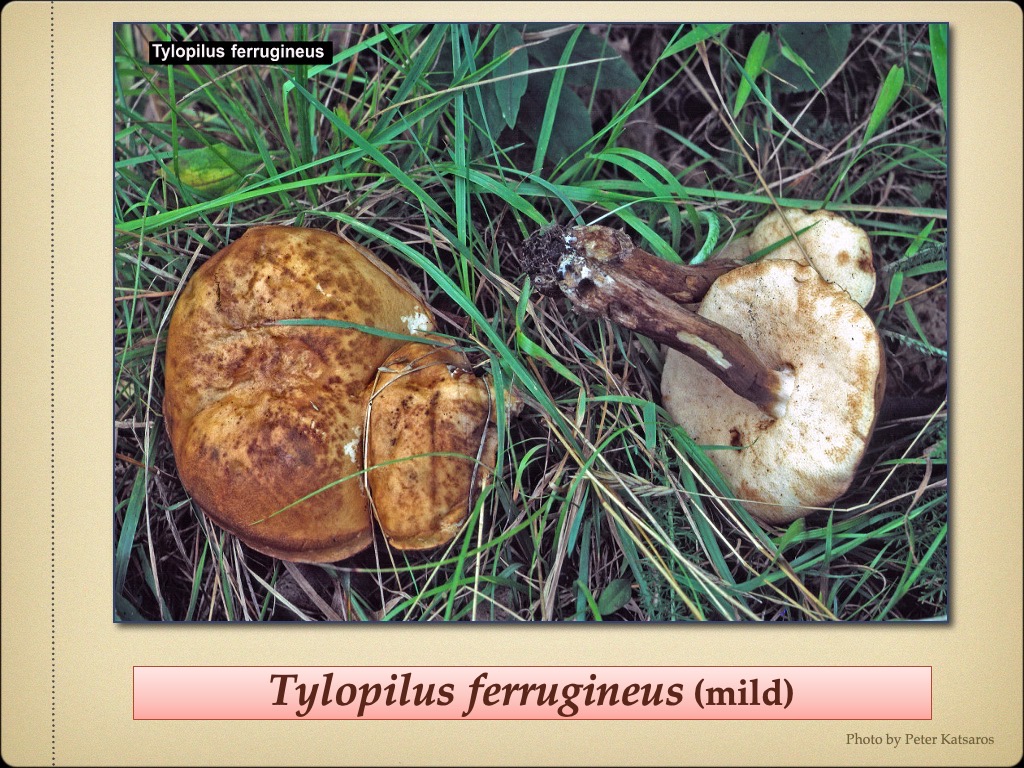 Slide48
