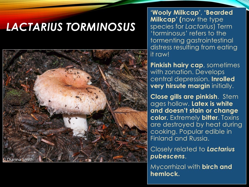 Slide49