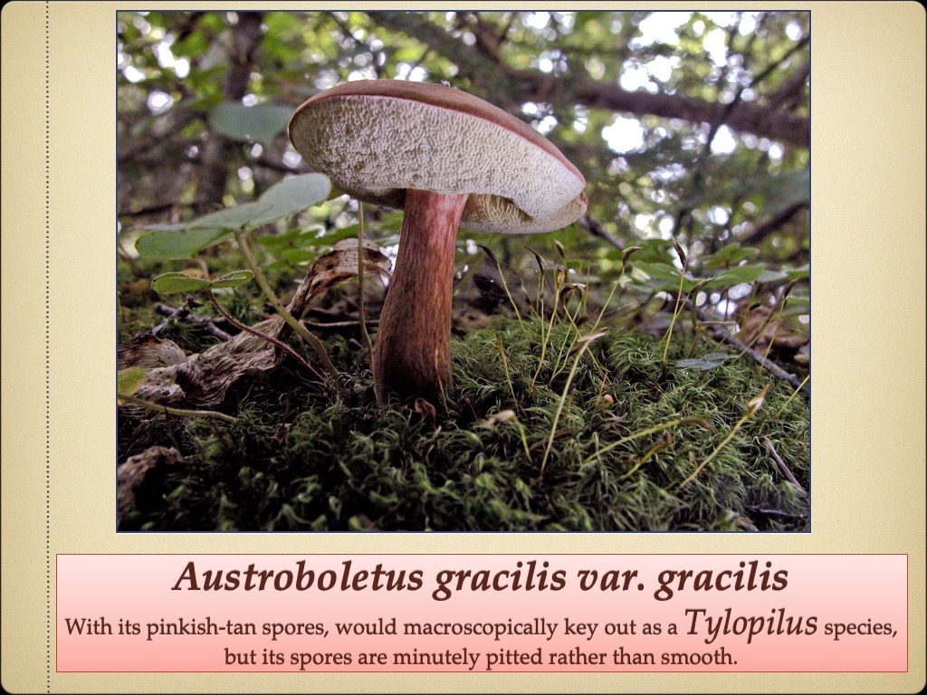 Slide49