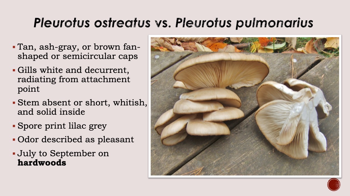 Slide49