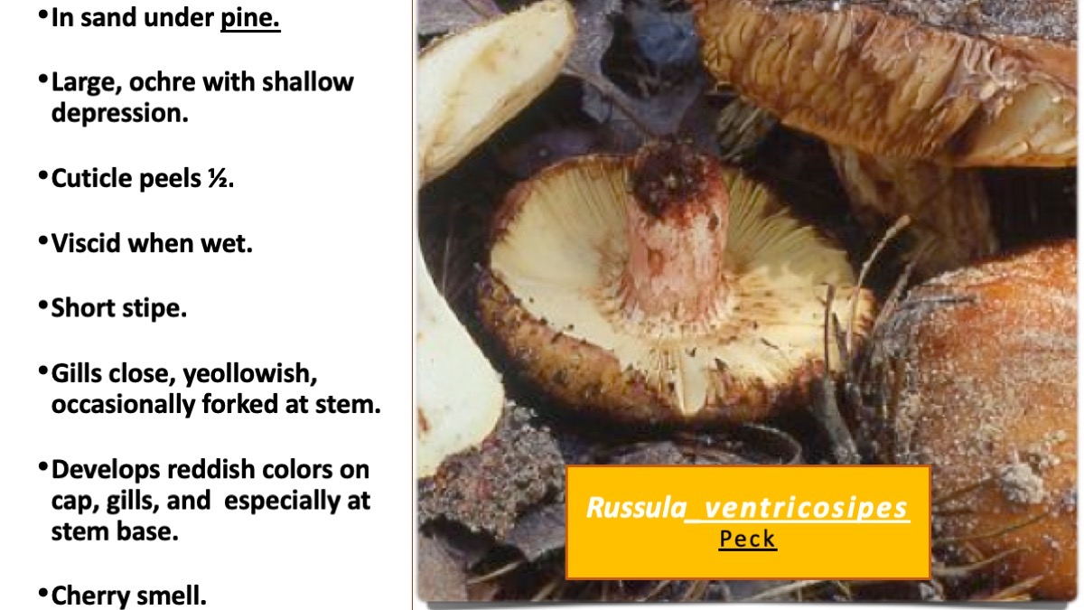 Slide49