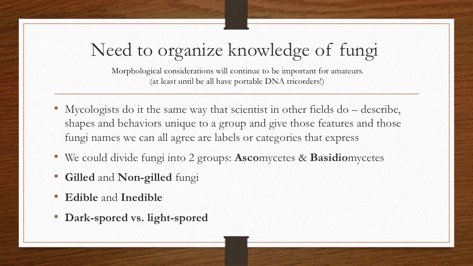 Slide49