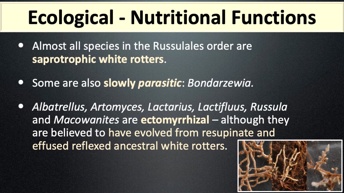 Slide5