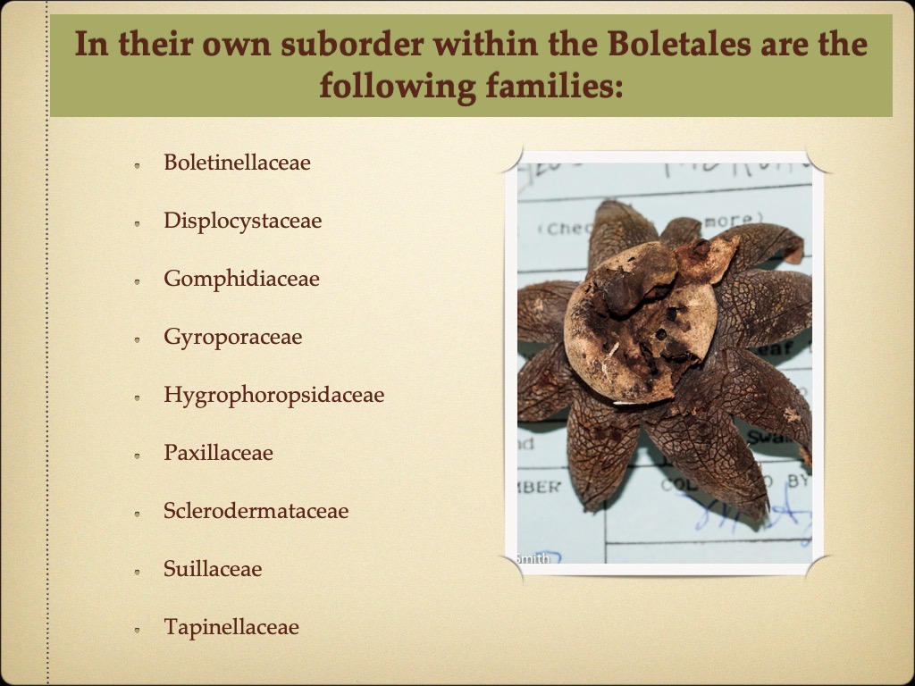 Slide5