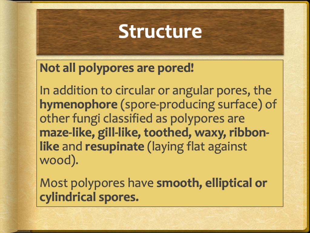 Slide5