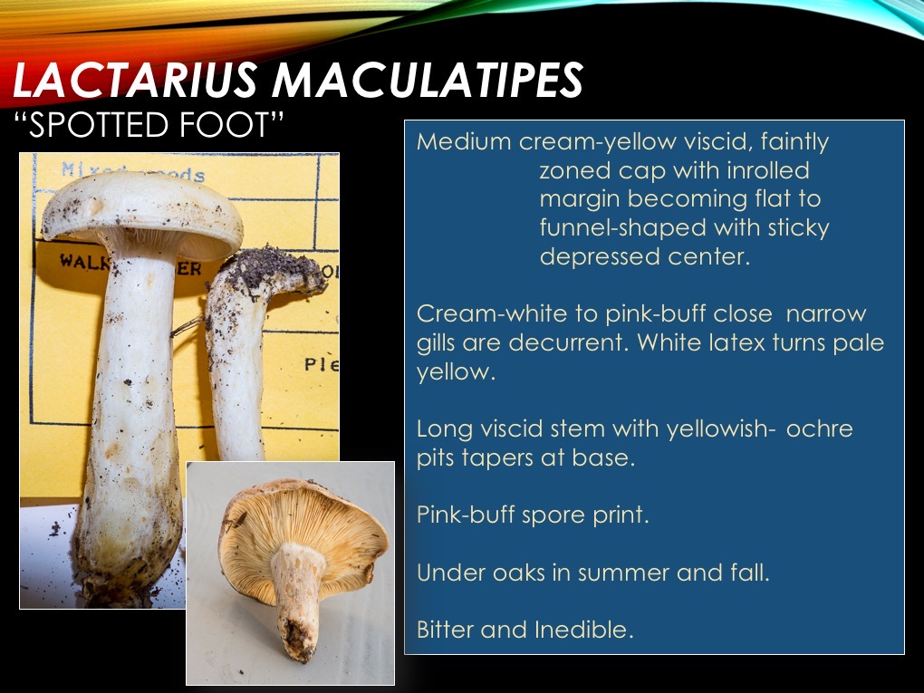 Slide52