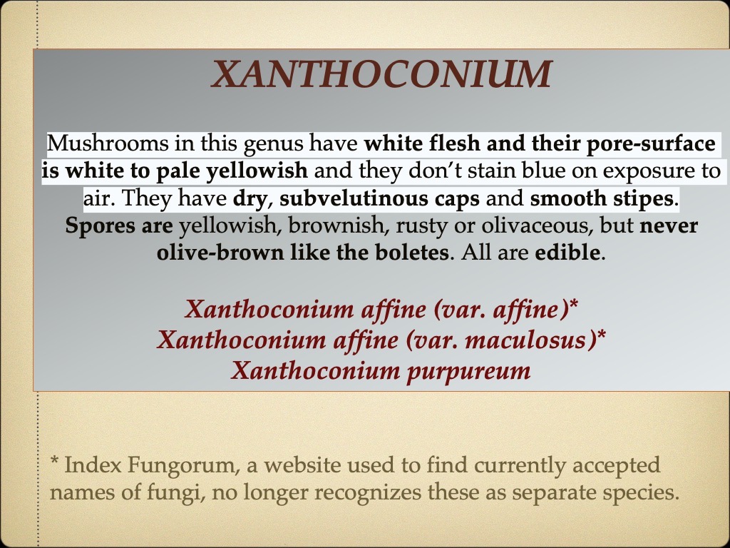 Slide52