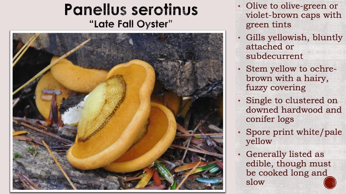 Slide52