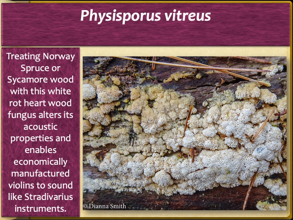 Slide52