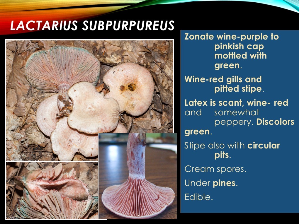 Slide53
