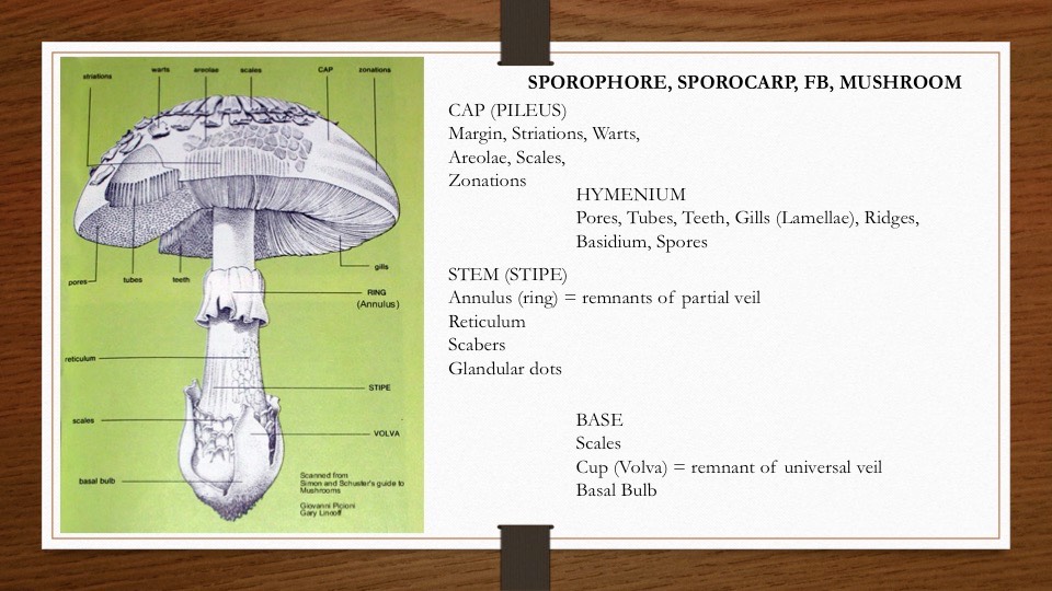 Slide53