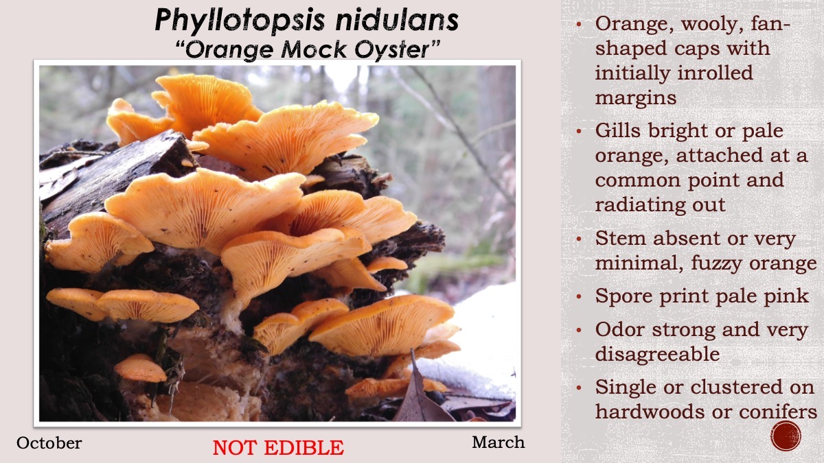 Slide53