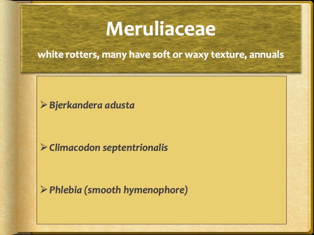 Slide53