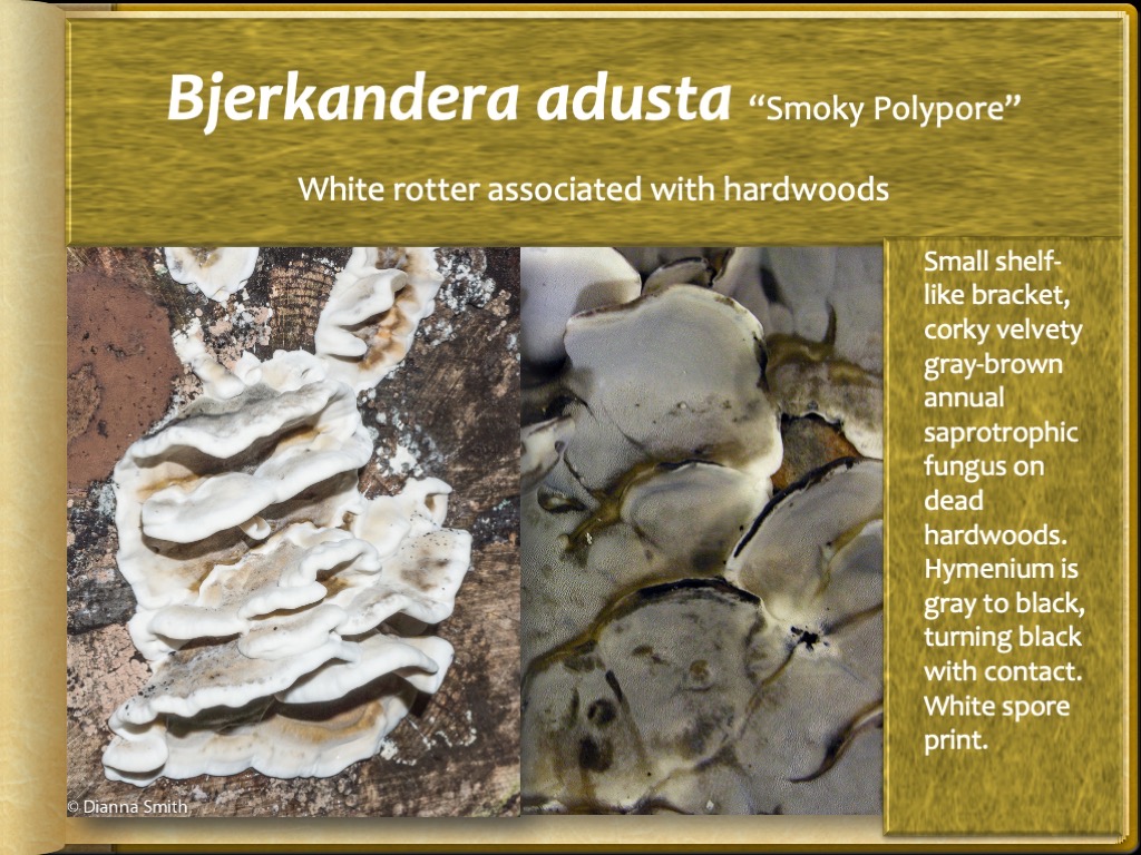 Slide54