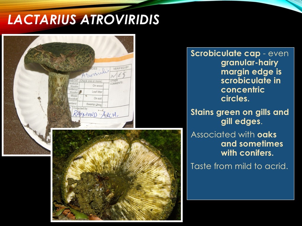 Slide54