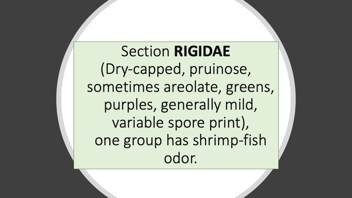 Slide54