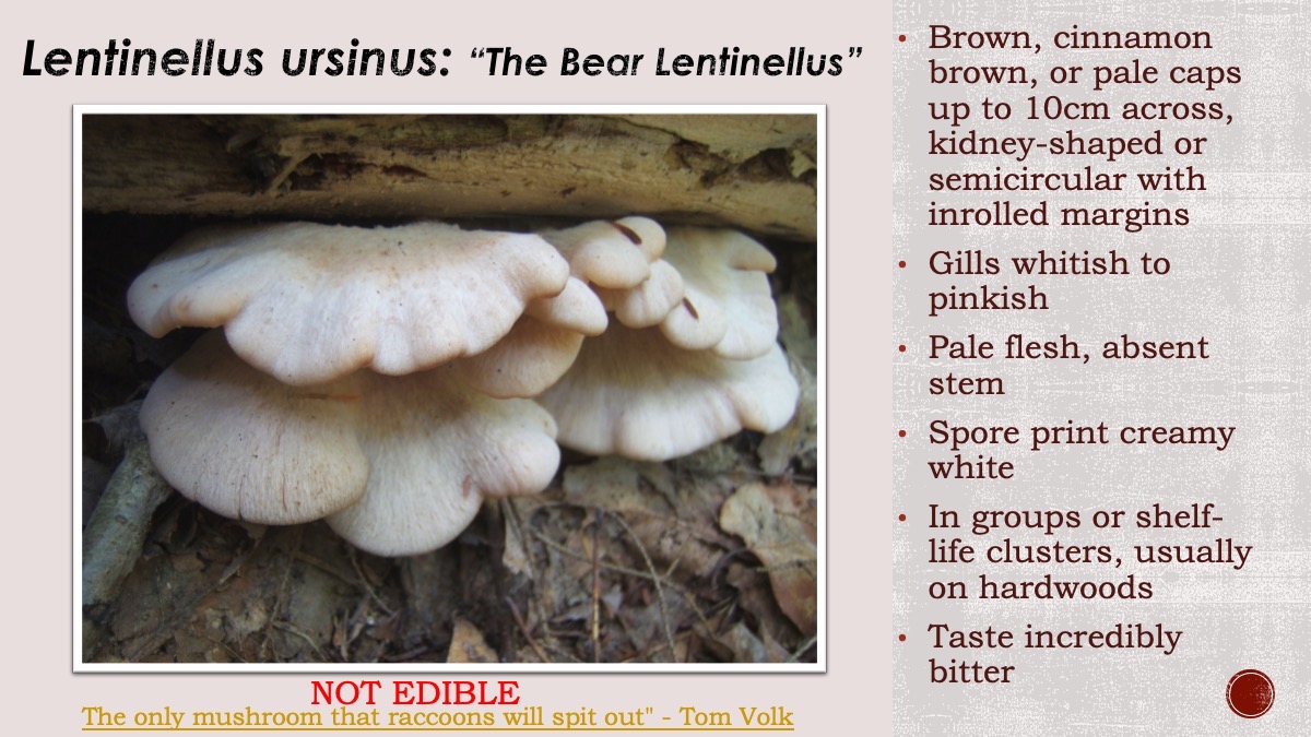 Slide54