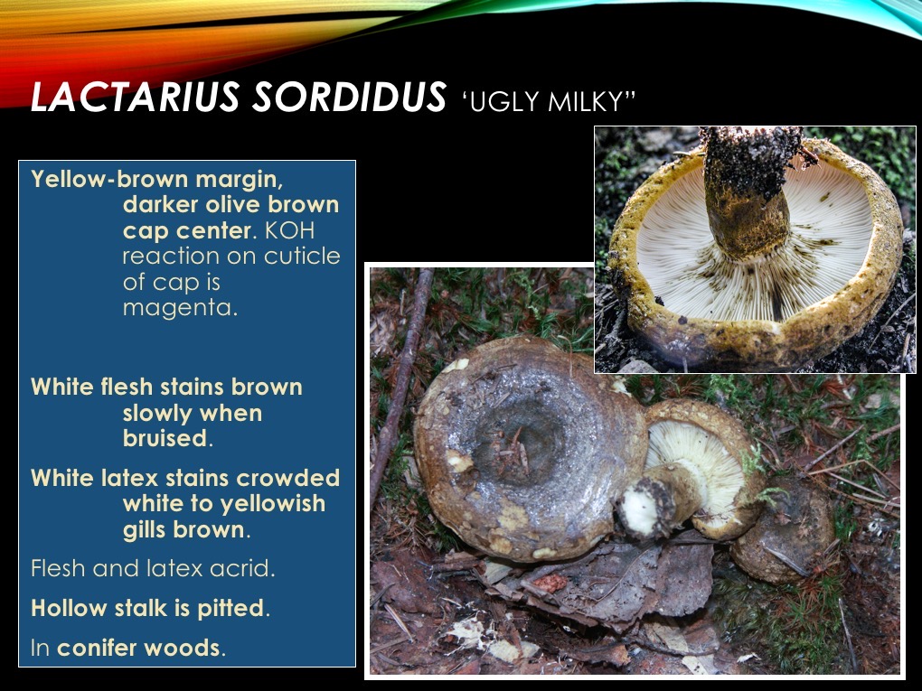 Slide55