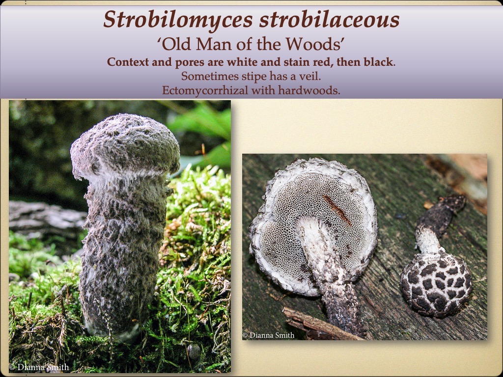 Slide55