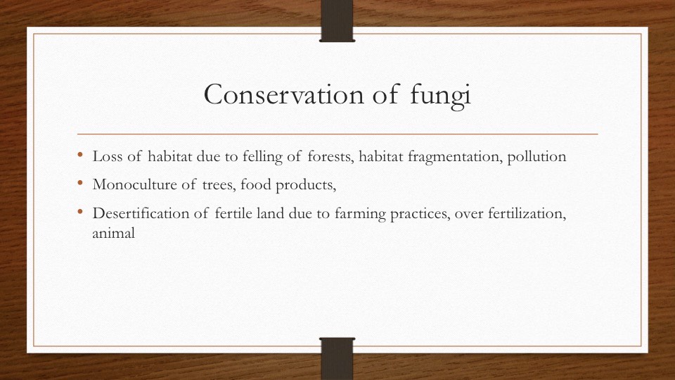 Slide55