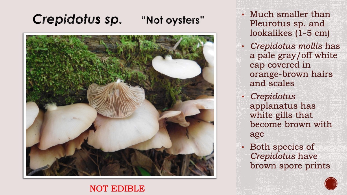 Slide55