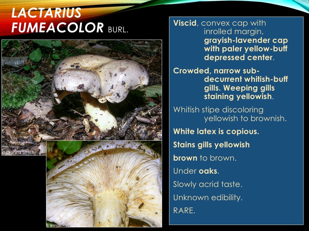 Slide56