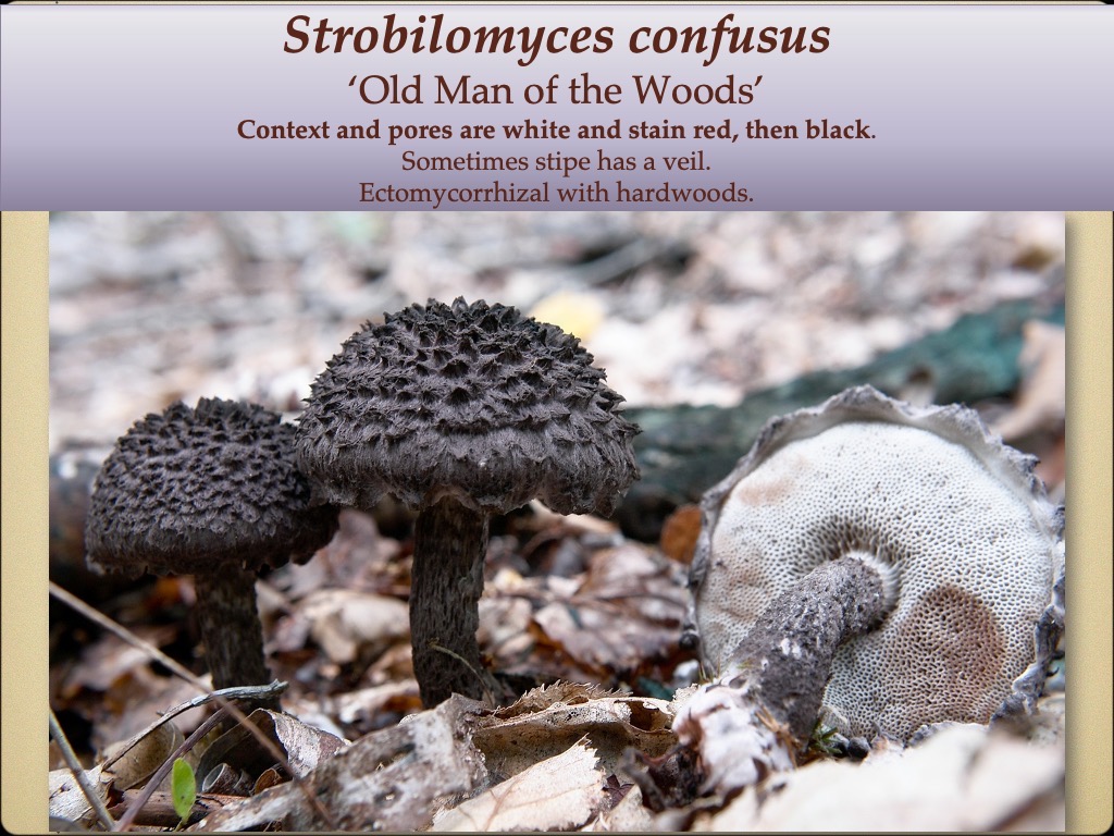 Slide56