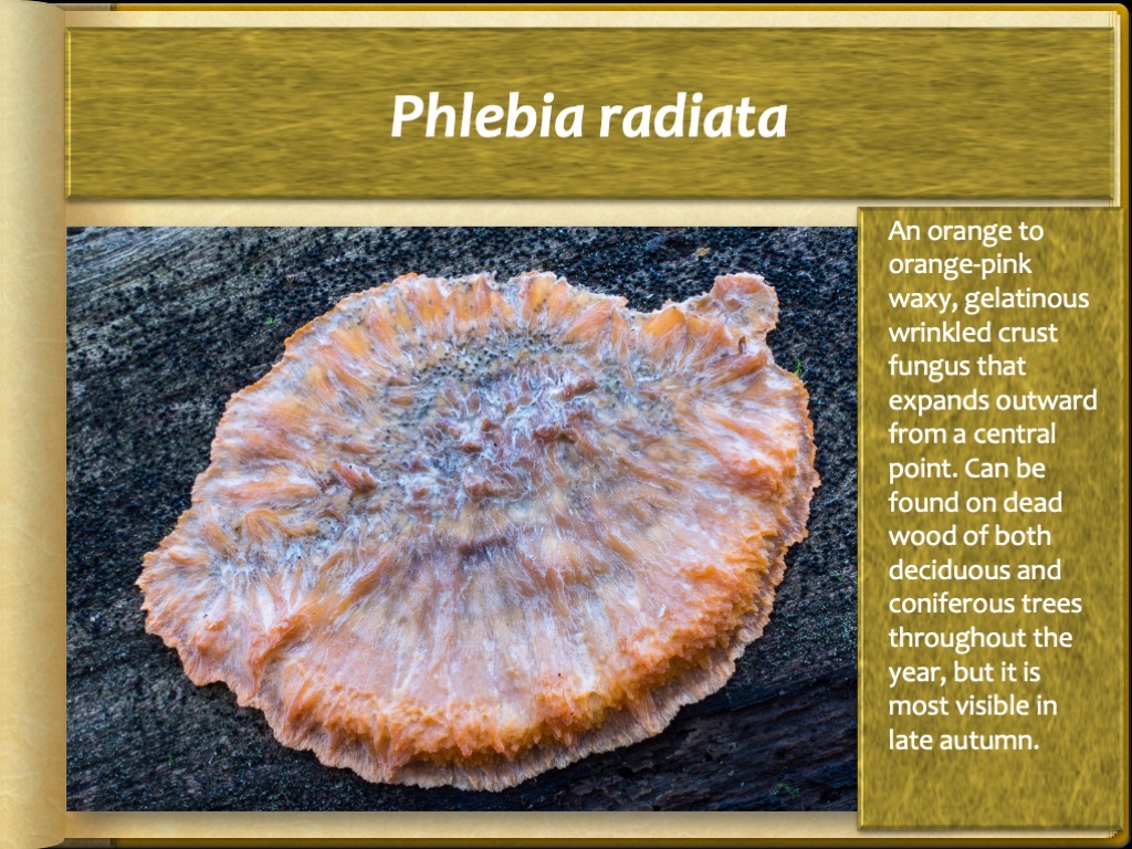 Slide56
