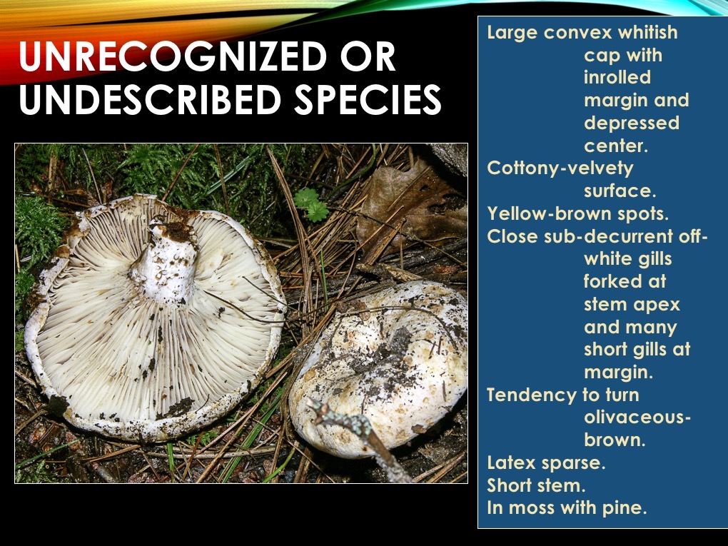 Slide57