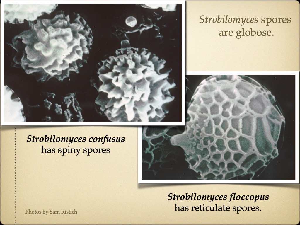 Slide57