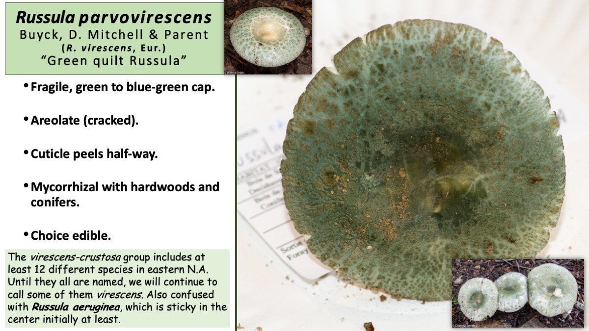 Slide57