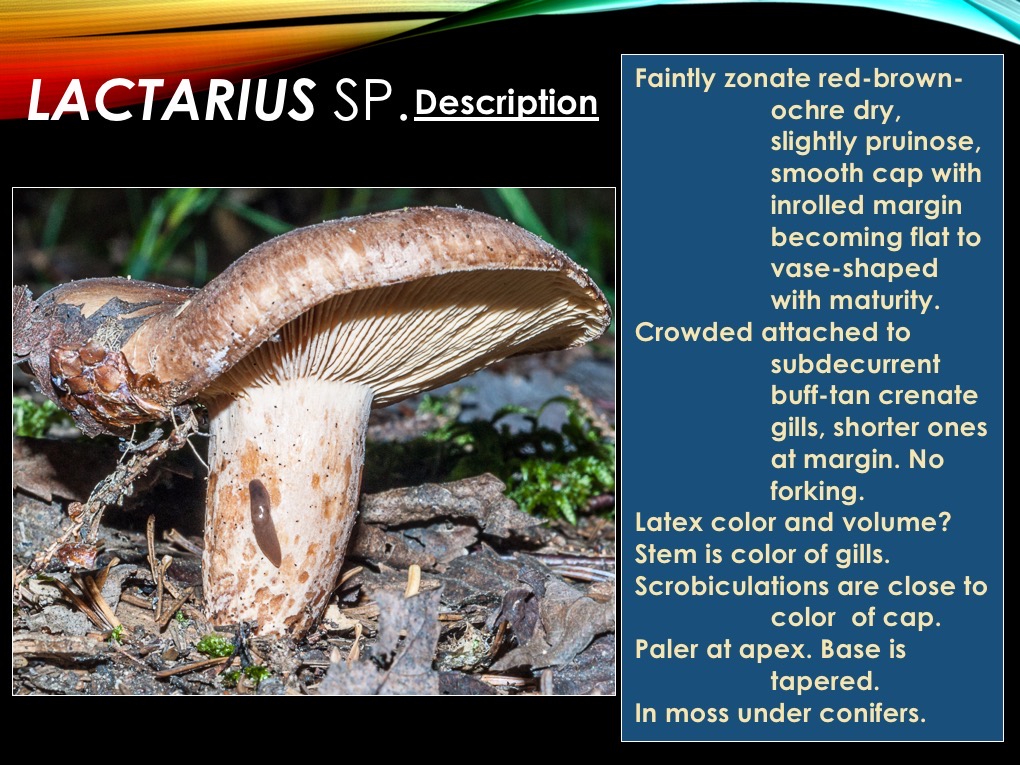 Slide58