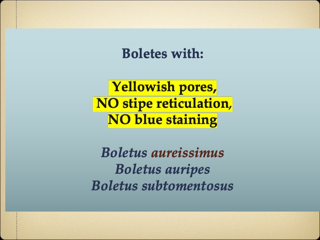 Slide58