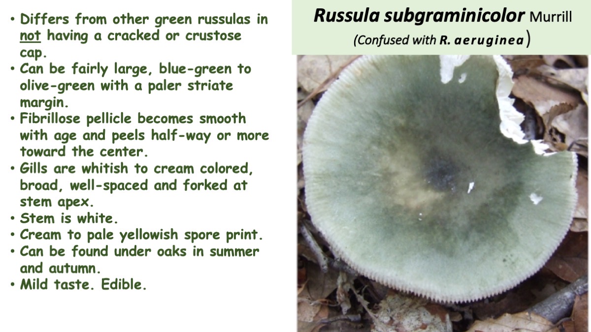 Slide58