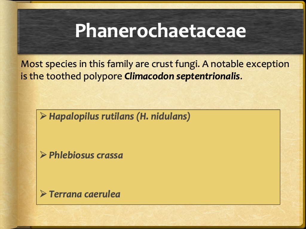 Slide58