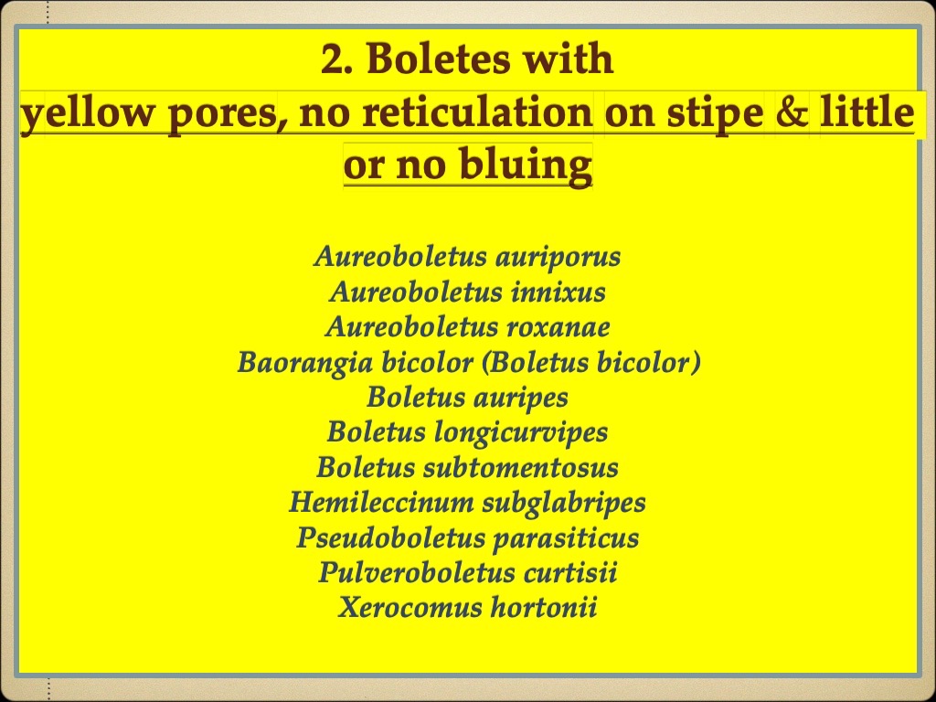 Slide59
