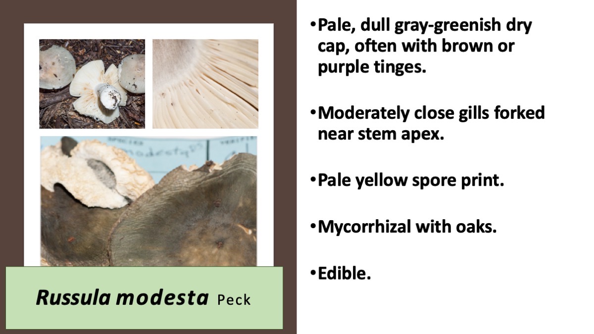 Slide59
