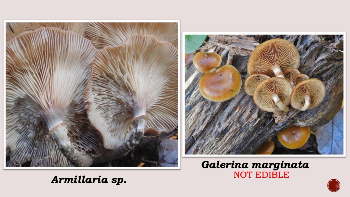 Slide59
