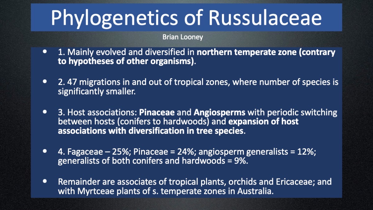 Slide6