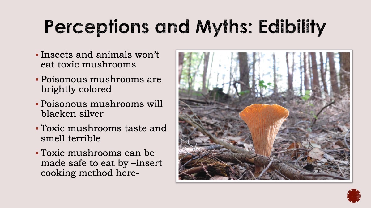 Slide6