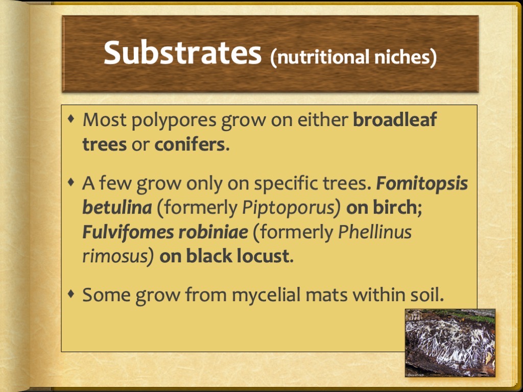 Slide6