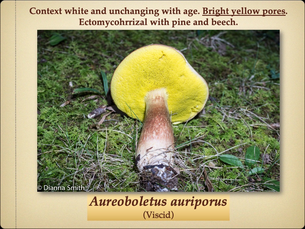 Slide60