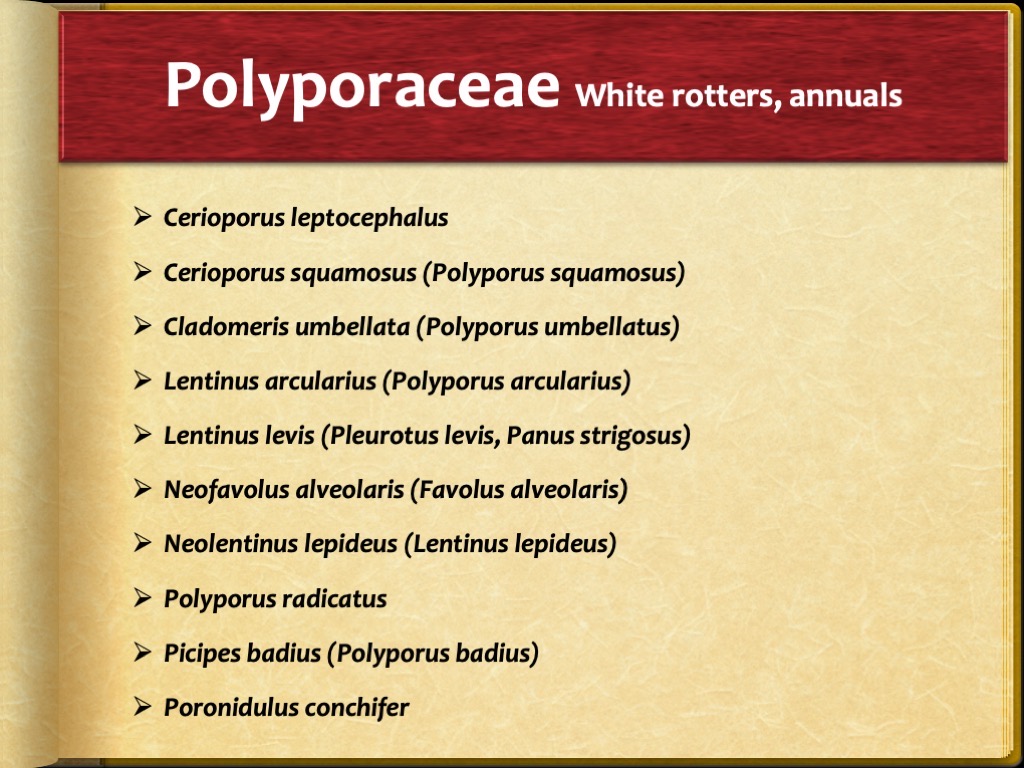 Slide60